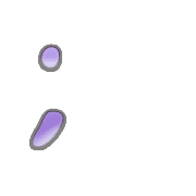 243