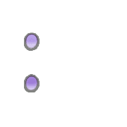 244