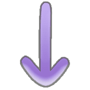 261