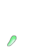 084