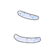010