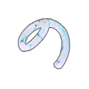025
