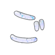 060