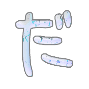 066