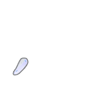 245