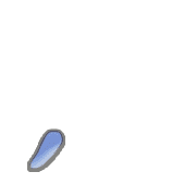 245