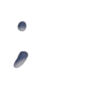 082
