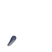 084