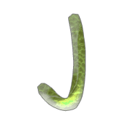 010