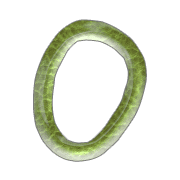 015