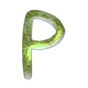 016