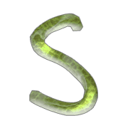 019