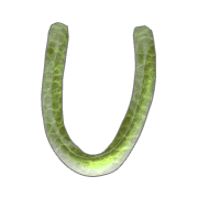 021