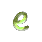 031