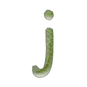 036