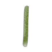 038
