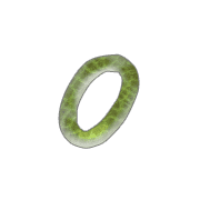041