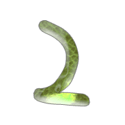 054