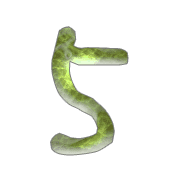 057