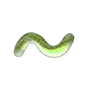 063