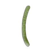 073