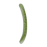 074