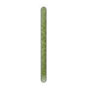 081