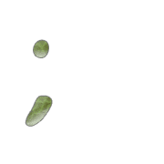 082