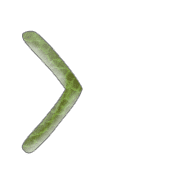 088