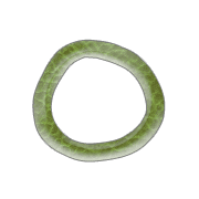 103