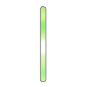 081