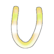 021