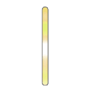 081