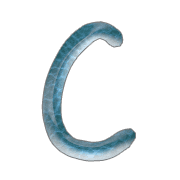 003