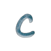 029