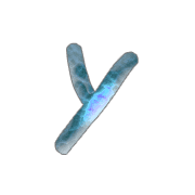 051