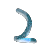 054