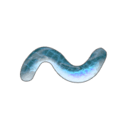 063