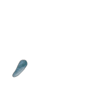 084