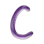 003