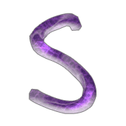 019