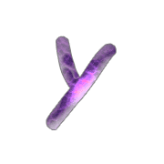 051