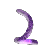054