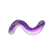 063