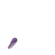 084