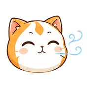 003