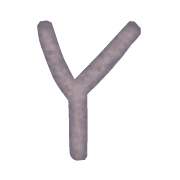 025