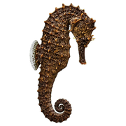 013
