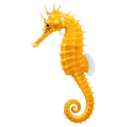 016