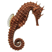 019